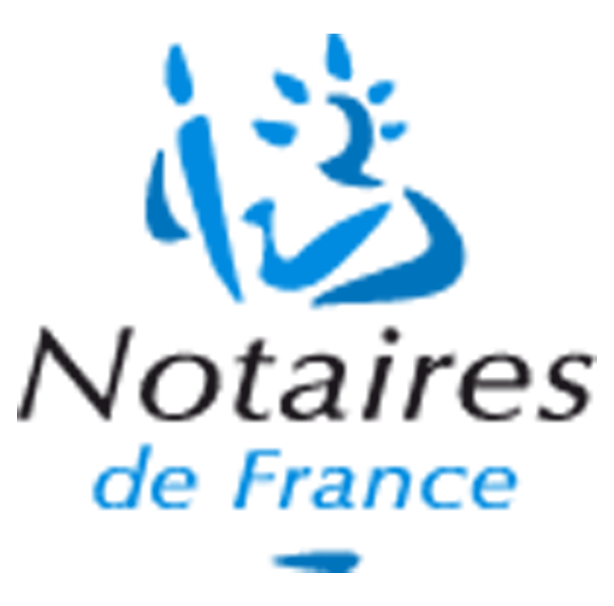 Notaires De France